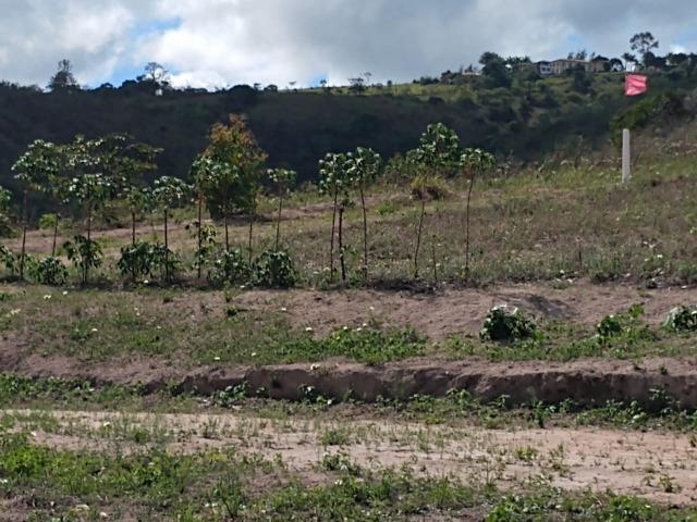 Sitio com 3 hectares Por Trás do Hotel highlander em Gravatá-PE - Foto 2