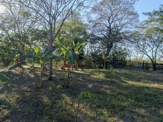 Chácara à venda em Zona rural, Santo antonio do leverger cod:21685 - Foto 13