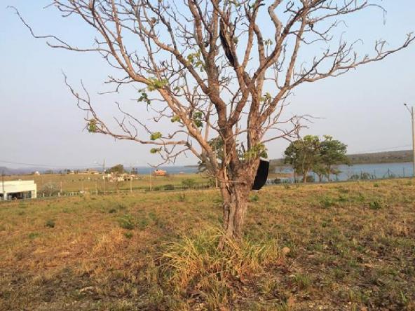 Loteamento/condomínio à venda em Zona rural, Chapada dos guimaraes cod:21206 - Foto 4