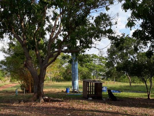 Chácara à venda em Zona rural, Varzea grande cod:20849 - Foto 7