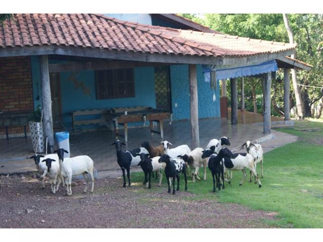 Chácara à venda em Zona rural, Cuiaba cod:20985 - Foto 2