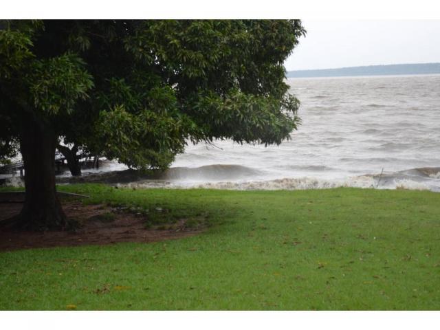 Chácara à venda em Zona rural, Barao de melgaco cod:20669 - Foto 15