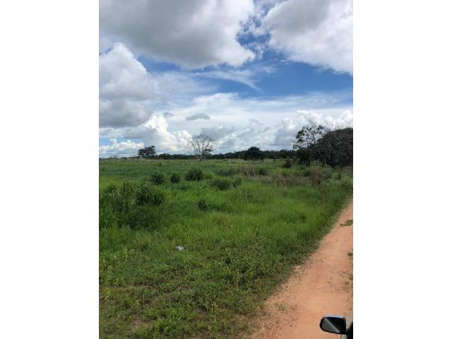 Chácara à venda em Rural, Nova mutum cod:22068 - Foto 8