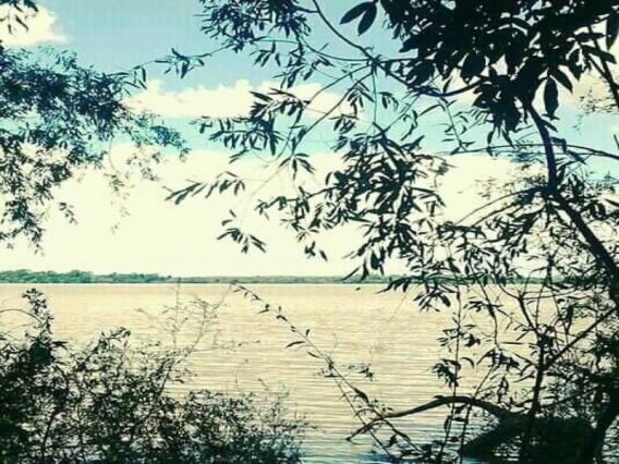 Sítio 3,0 hectares - porto batista - triunfo - rs