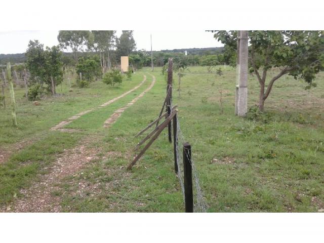 Chácara à venda em Zona rural, Cuiaba cod:21259 - Foto 4