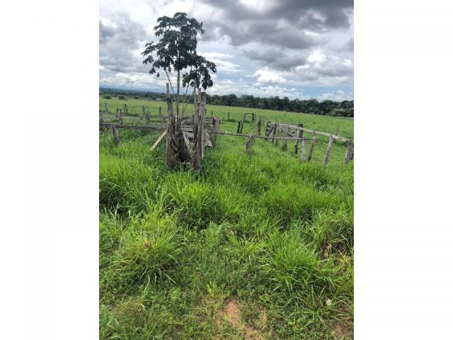 Chácara à venda em Rural, Nova mutum cod:22068 - Foto 5