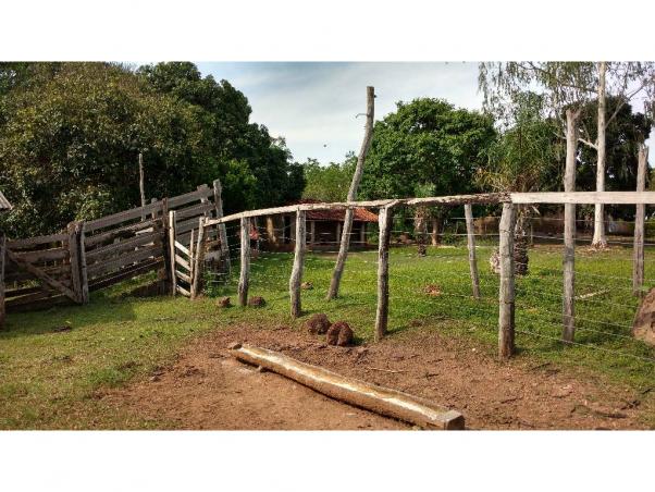 Chácara à venda em Zona rural, Acorizal cod:19544 - Foto 5