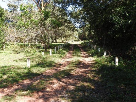 Chácara à venda em Estancia terra da gente, Cuiaba cod:14757 - Foto 8