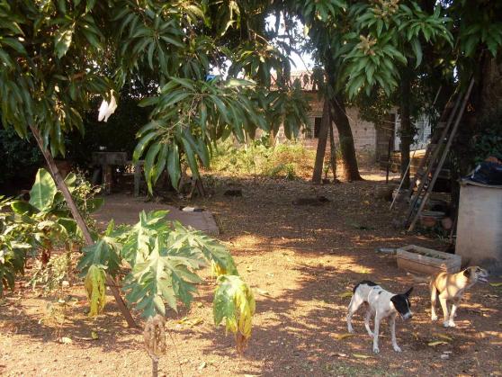 Loteamento/condomínio à venda em Jardim primavera, Cuiaba cod:10087 - Foto 12