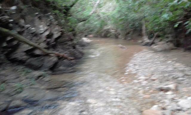 Chacara de 10 hactares 170 mil - Foto 6