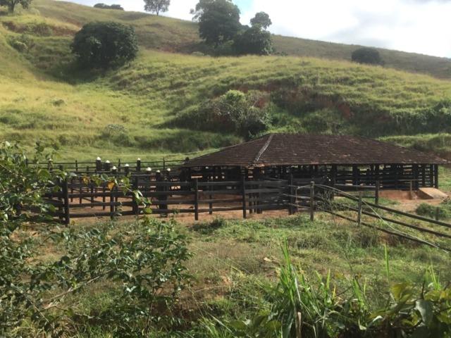 Fazenda 455.96 hectares - Governador Valadares/MG