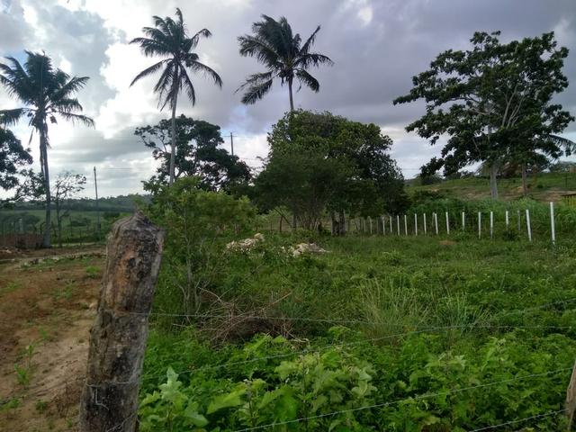 Terreno Em Pedra Branca - Foto 9