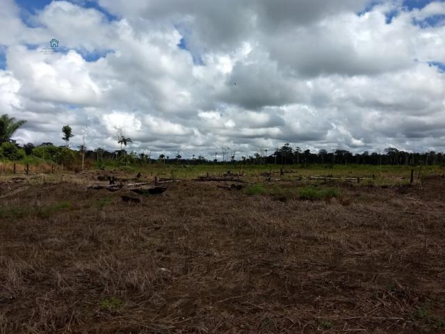 Chácara para Venda em Arigolândia Porto Velho-RO