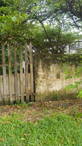 Lote de Terreno na Enseada - Foto 3