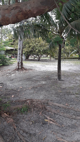 Maravilhoso LOTE no Condomínio Clube VILAS DO JAQUÍPE - Foto 8