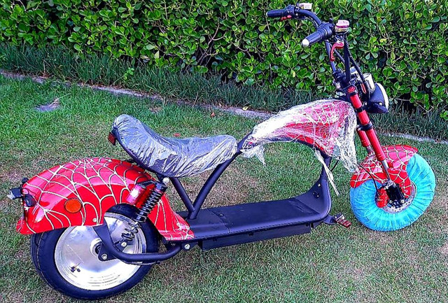 SCOOTER ELÉTRICA/ MOTO ELÉTRICA 5.800,00