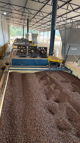 Secador de caixa Estático (financiamos pelo Finame) - Foto 4