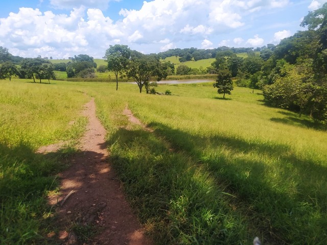 Vende-se chácara de 06 alqueires em Itauçu-Go  - Foto 2