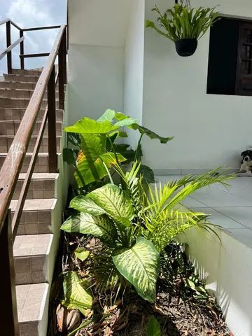 ALUGUEL ANUAL EM ALAGOAS