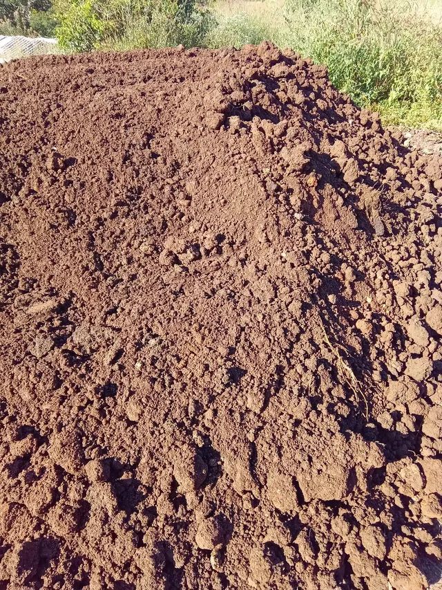 Esterco de Gado Puro Confirnado - Foto 5