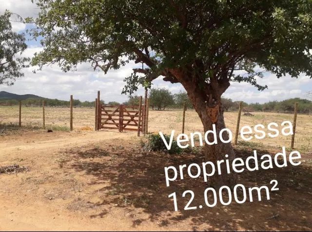 Terrenos, sítios e fazendas à venda em Juazeiro, Jacobina e região, BA ...