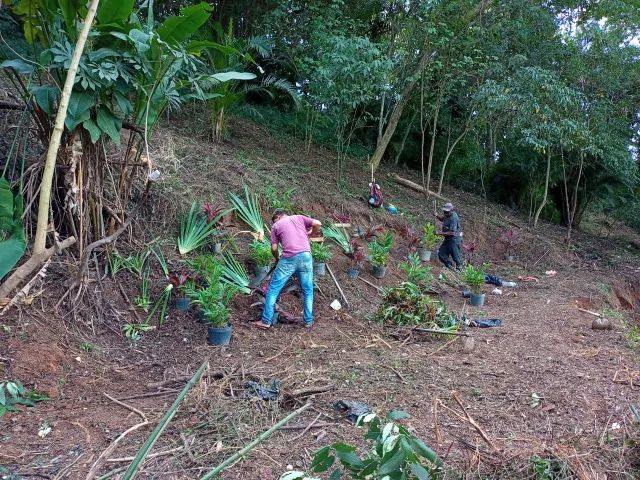 Ótima Oferta: Terreno Amplo Próximo à Natureza 6532 m2 - Foto 6