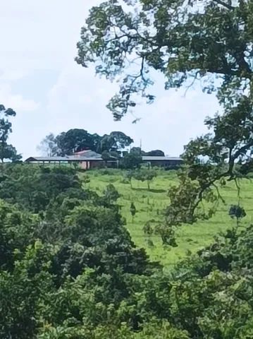 Fazendade 48 alq em Jaragua-Go - Foto 4