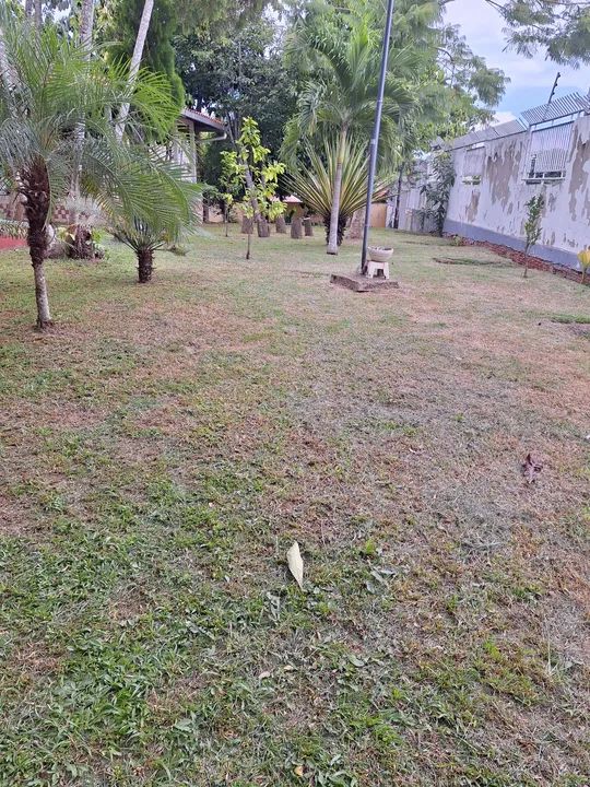 Serviço de jardinagem  - Foto 5