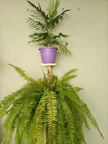 Suporte de Parede Mão Francesa Tipo Raquete para vasos planta Macramê Envernizado - Foto 4