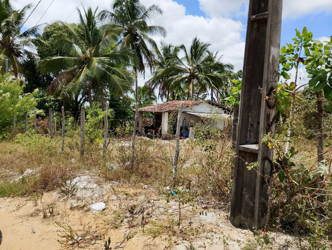 Terreno com uma pequena casa - Foto 2
