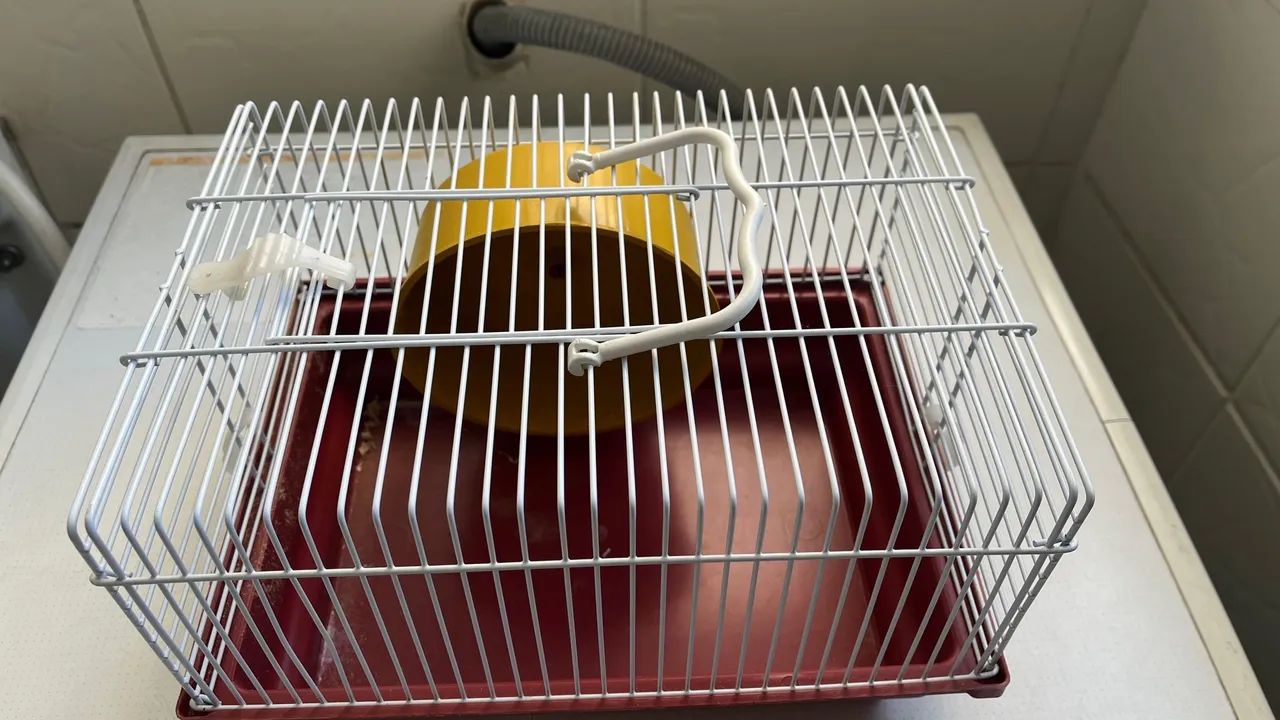 Gaiola para hamster com roda