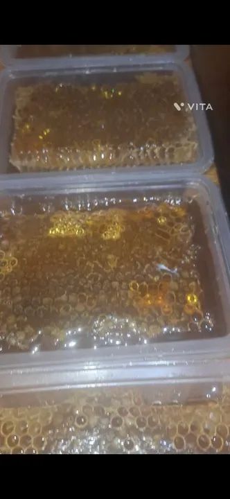 Mel de abelha no favo  puro e fresco