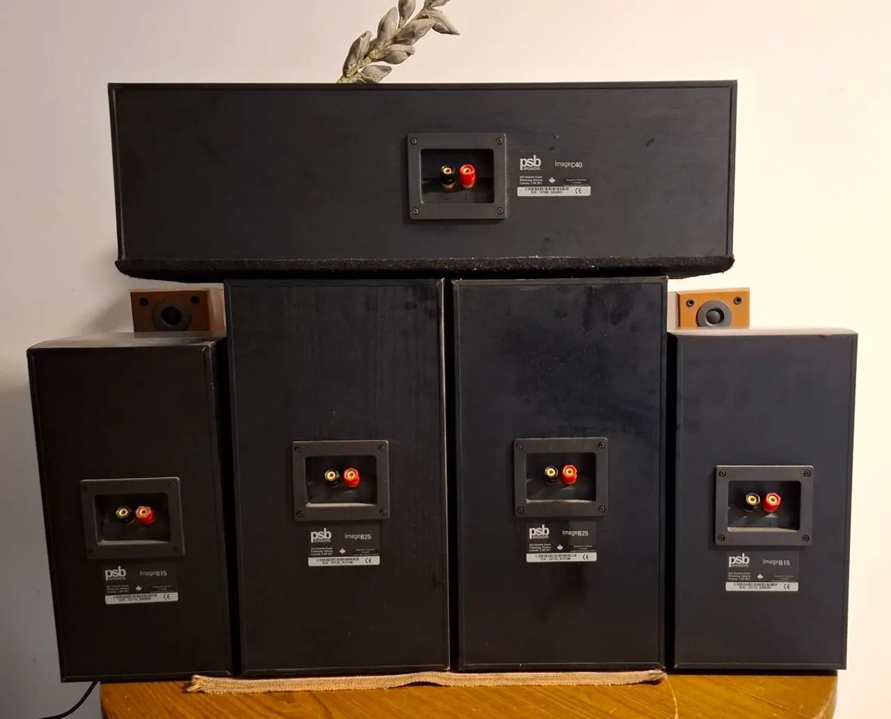 Caixas PSB  5.0 IMAGE B25 6.5"+ B15 5.5"+ C40 100w 6ohms 91dB 45Hz  - Foto 3