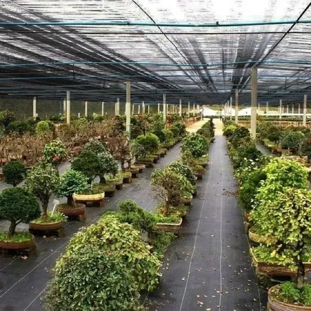 Tela Sombrite de 1,50 X 10M Sombreamento Sombrite 80% Horta Garagem Proteção Cobertura Pe