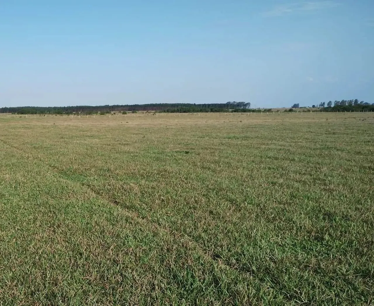 FAZENDA COM 2.372 HECTARES TODA FORMADA EM PASTAGEM EM IGUATEMI MS