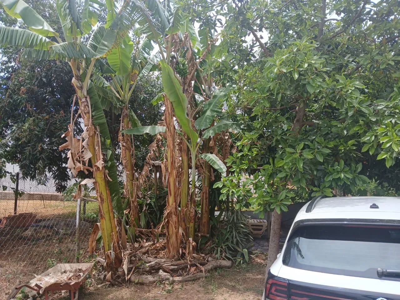 Sítio em Jaboticatubas Recanto das Araras PORTEIRA FECHADA - Foto 9