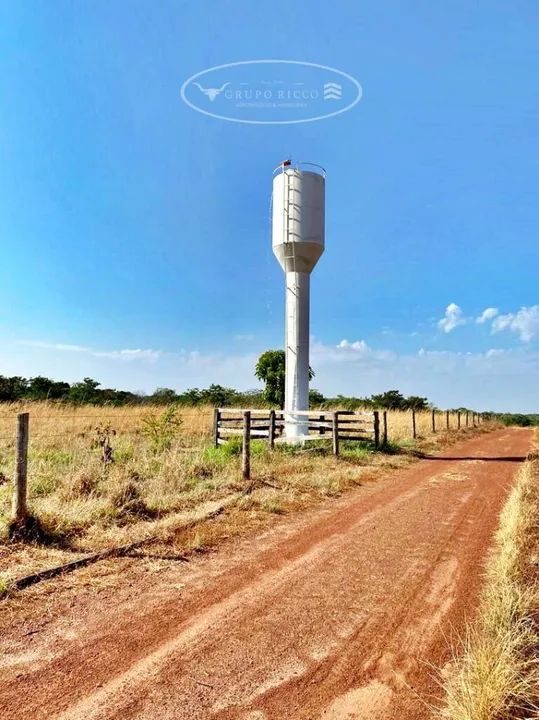 Fazenda Extra em Dueré-TO ! 301 Alqueires ! 500 Há para Lavoura - Foto 3