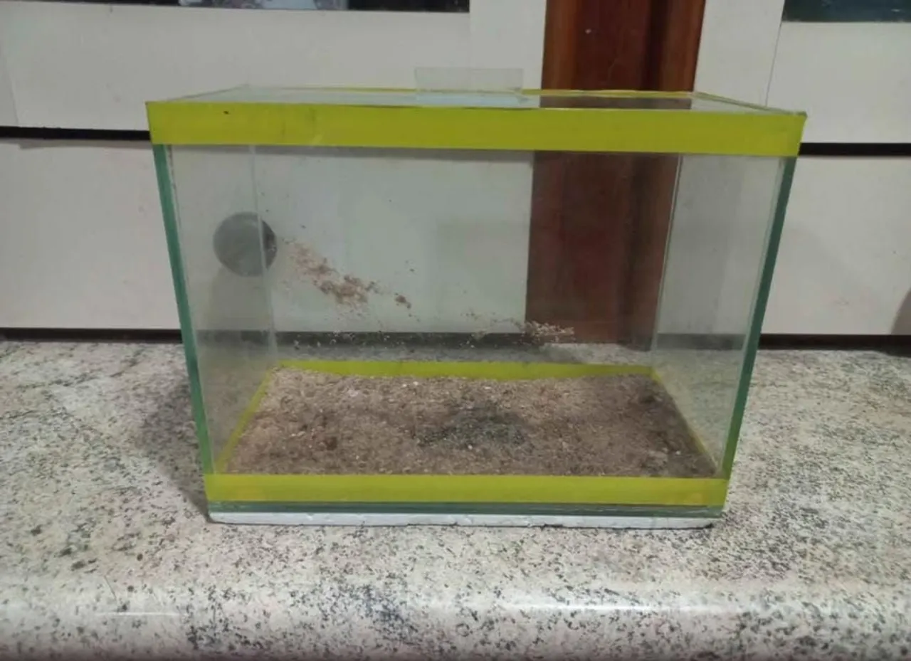 Aquário betteira