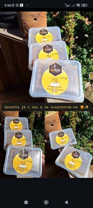 Mel de abelha no favo  puro e fresco - Foto 3