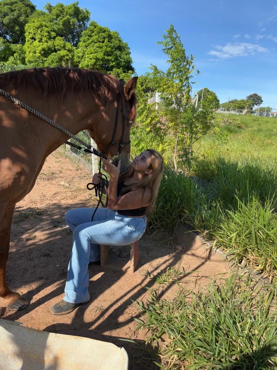Cavalo para Passeios e Lazer - Foto 3