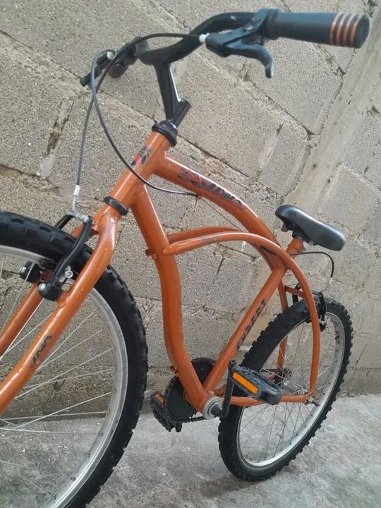 Bicicleta