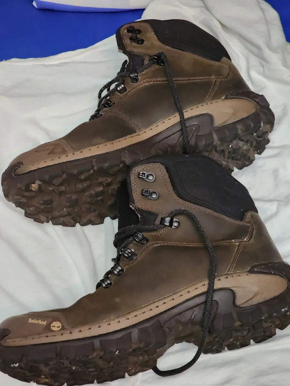 Botas Timberland Marrom 44