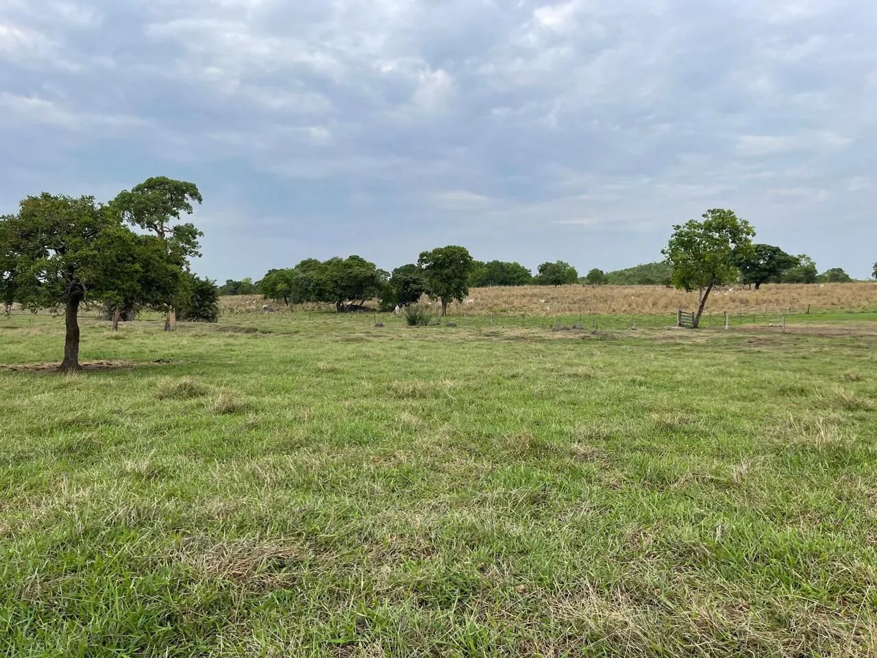 Fazenda plana em Itapirapuã  - Foto 5