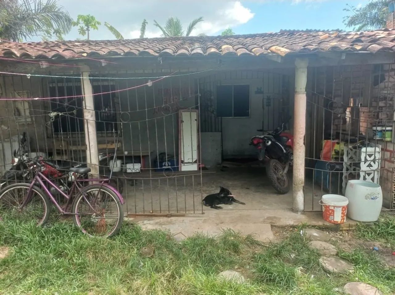 foto - Belém - Cutijuba