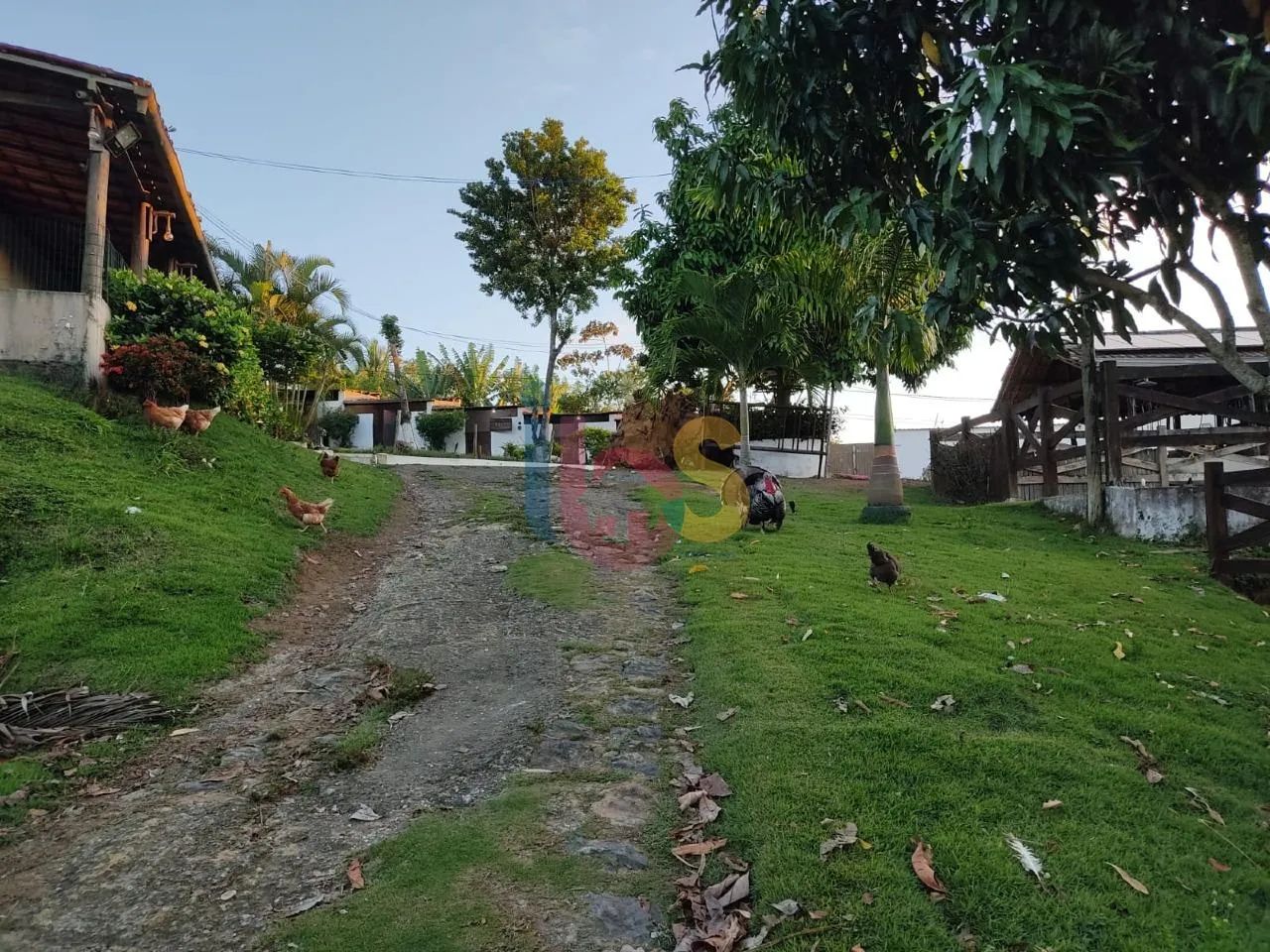 Vendo Lindo Rancho - Foto 4
