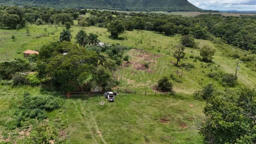 Chácara 35 Hectares em Bandeirantes-MS! - Foto 4
