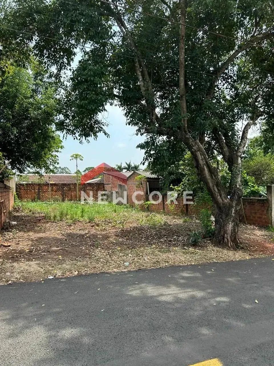 Lote em Rua Paulo Baum - Carimã - Foz do Iguaçu/PR - Foto 3