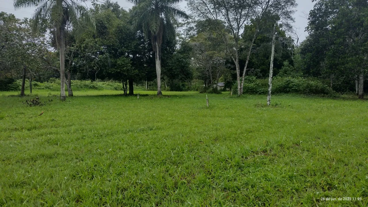 VENDE-SE PROPRIEDADE COM 9,5 HEKETARES, IDEAL PARA PLANEJAR UM CONDOMÍNIO DE LOTES