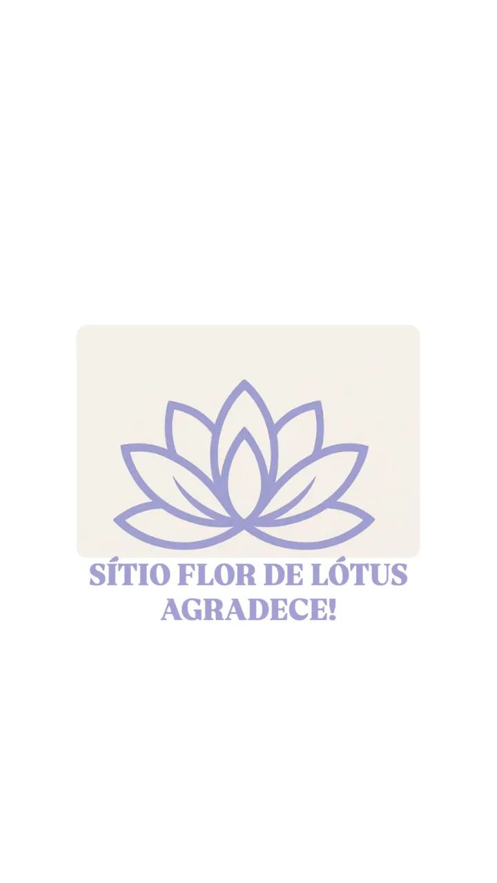 Sítio Flor de Lótus (LOCAÇÃO) - Foto 2