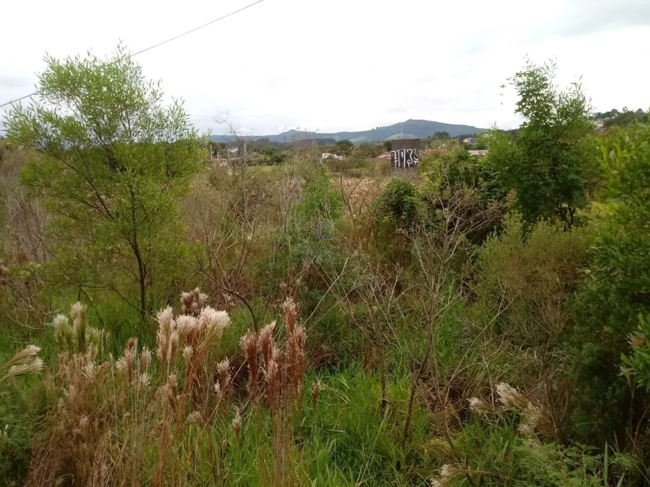 Terrenos a venda - Santa Maria - Foto 5